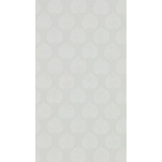 Lyme Leaf Wallpaper 216384 by Sanderson in Dove Grey