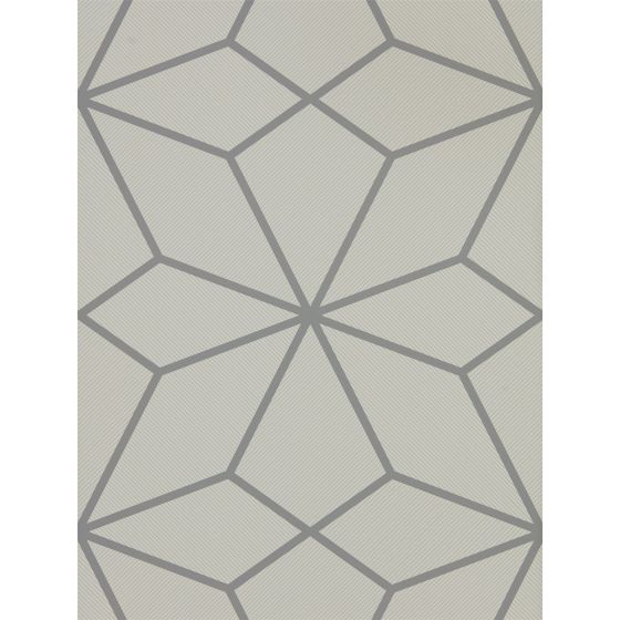 Axal Wallpaper 111981 by Harlequin in Slate Grey