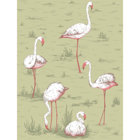 Flamingos Wallpaper 11038 by Cole & Son in Olive Green