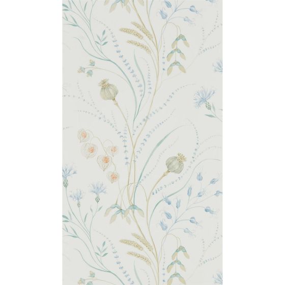 Summer Harvest Wallpaper 216496 by Sanderson in Cornflower Wheat