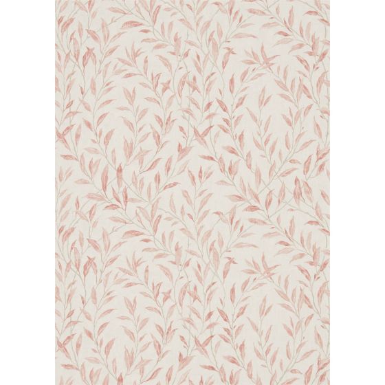 Osier Wallpaper 216410 by Sanderson in Rosewood Sepia