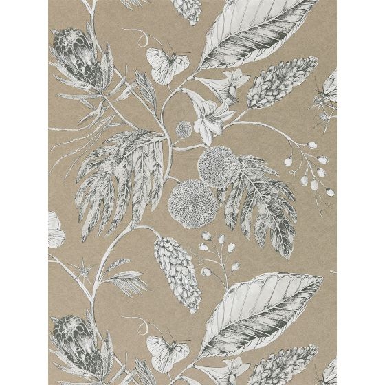 Amborella Wallpaper 111222 by Harlequin in Pebble Beige
