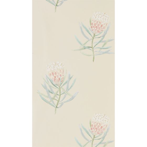 Protea Flower Wallpaper 216329 by Sanderson in Russet Green