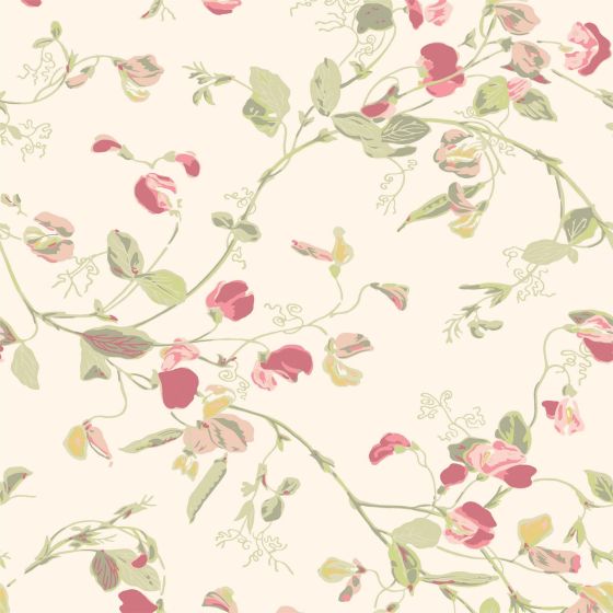 Sweet Pea Wallpaper 100 6028 by Cole & Son in Pink