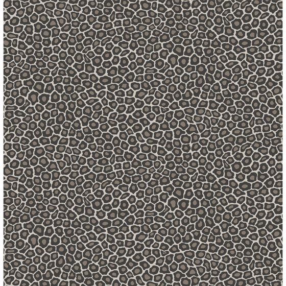 Senzo Spot Wallpaper 6031 by Cole & Son in Soot Snow