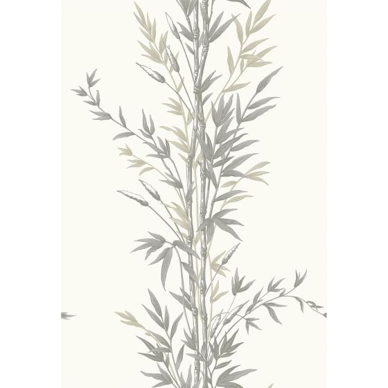 Bamboo Wallpaper 100 5025 by Cole & Son in Charcoal Grey