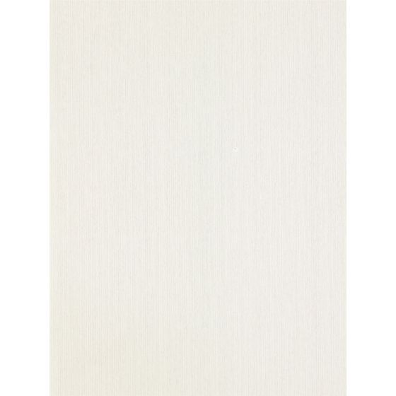 Perpetua Stripe Wallpaper 112120 by Harlequin in Dove Grey