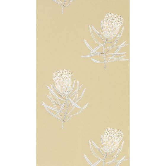 Protea Flower Wallpaper 216331 by Sanderson in Sepia Champagne