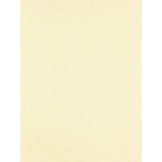 Lint Textured Wallpaper 112092 by Harlequin in Maize Yellow