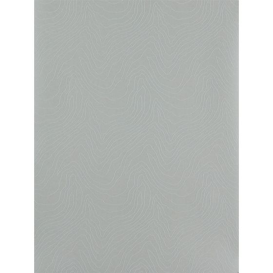 Formation Wallpaper 111592 by Harlequin in Silver Grey