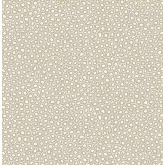 Senzo Spot Wallpaper 6030 by Cole & Son in Stone Grey