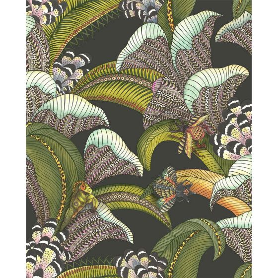 Hoopoe Leaves Wallpaper 119 1002 by Cole & Son in Black Multi
