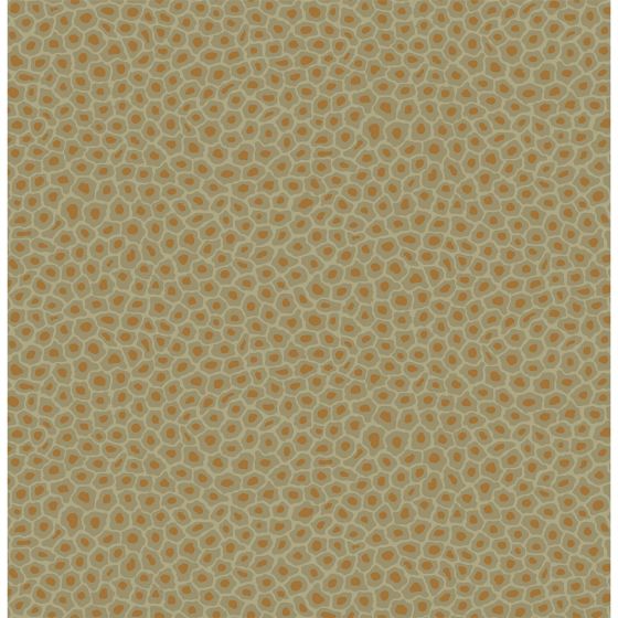 Senzo Spot Wallpaper 6029 by Cole & Son in Old Olive Green