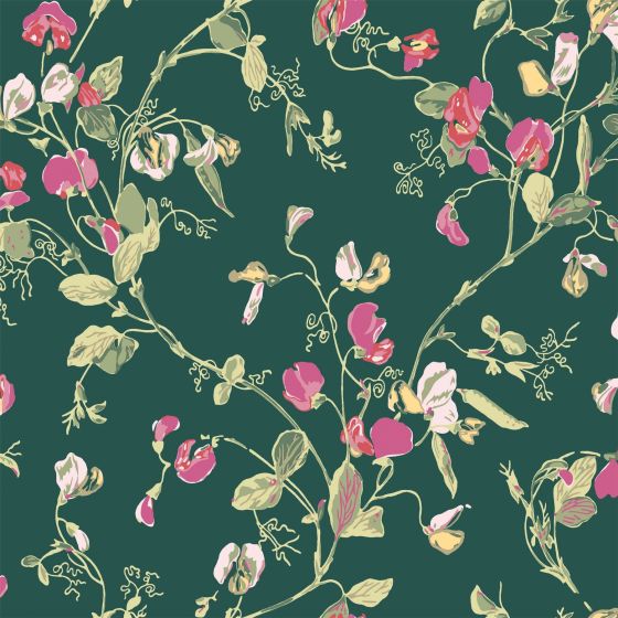 Sweet Pea Wallpaper 115 11033 by Cole & Son in Cerise Pink