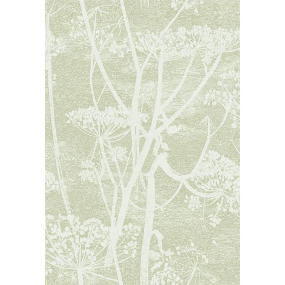 Cow Parsley Wallpaper 8029 by Cole & Son in Olive Green