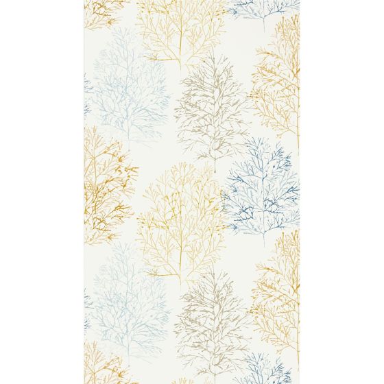 Soetsu Tree Wallpaper 112002 by Scion in Stonewash Papaya Orange