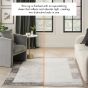 Desire DSR02 Border Rugs by Nourison in Grey Black