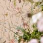 Bambi Wallpaper 217279 by Disney Home x Sanderson in Neapolitan