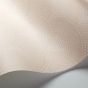 Feather Fan Wallpaper 10035 by Cole & Son in Ballet Slipper Pink