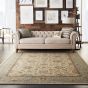 Living Treasure Rugs by Nourison LI16 in Ivory Aqua