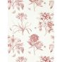 Etchings & Roses Wallpaper 217053 by Sanderson in Amanpuri Red