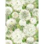 Dahlia Wallpaper 2112844 by Harlequin in Sail Cloth Meadow Gilver