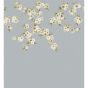 Rosa Wallpaper 112888 by Harlequin in Feather Grey Paper Lantern Oyster