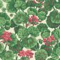 Geranium Wallpaper 11034 by Cole & Son in Parchment White