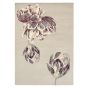 Tranquility Rugs 56001 by Ted Baker in Beige