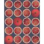 Arance Wallpaper 24046 by Cole & Son in Blood Orange Ink Blue