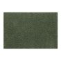 Multi Grip Washable Plain Doormat in Sage Green