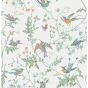 Humming Birds Wallpaper 4016 by Cole & Son in Pastel Multi
