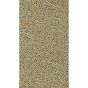 Nootka Wallpaper 313027 by Zoffany in Antique Gold