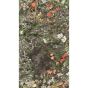Woodland Wallpaper 4011 by Cole & Son in Coral Olive Charcoal
