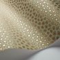 Senzo Spot Wallpaper 6029 by Cole & Son in Old Olive Green