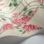 Wisteria Wallpaper 5012 by Cole & Son in Coral Orange Sage Green