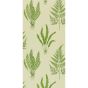 Woodland Ferns Botanical Wallpaper 102 by Sanderson in Green