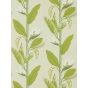 Llenya Wallpaper 112238 by Harlequin in Lime Jade Pebble