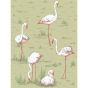 Flamingos Wallpaper 11038 by Cole & Son in Olive Green