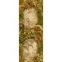 Hispalis Wallpaper 2005 by Cole & Son in Khaki