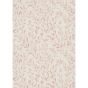 Osier Wallpaper 216410 by Sanderson in Rosewood Sepia