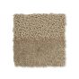 Twinset Urban Rugs 022101 by Brink and Campman in Soft Taupe