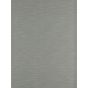 Rushes Wallpaper 312493 by Zoffany in Silver Birch