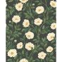 Hampton Roses Wallpaper 7016 by Cole & Son in Charcoal Cream