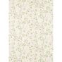 Romeys Garden Wallpaper 311338 by Zoffany in Blossom Pink