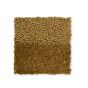 Twinset Urban Rugs 022116 by Brink and Campman in Golden Brown