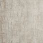 Tree Bark Wallpaper W0062 03 by Clarke and Clarke in Parchment