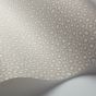 Senzo Spot Wallpaper 6030 by Cole & Son in Stone Grey