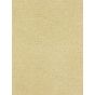 Mansa Weaved Wallpaper 112110 by Harlequin in Walnut Brown