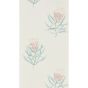 Protea Flower Wallpaper 216330 by Sanderson in Porcelain Blush